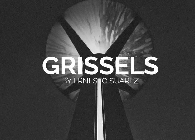 GrisselsPrvProj625x500